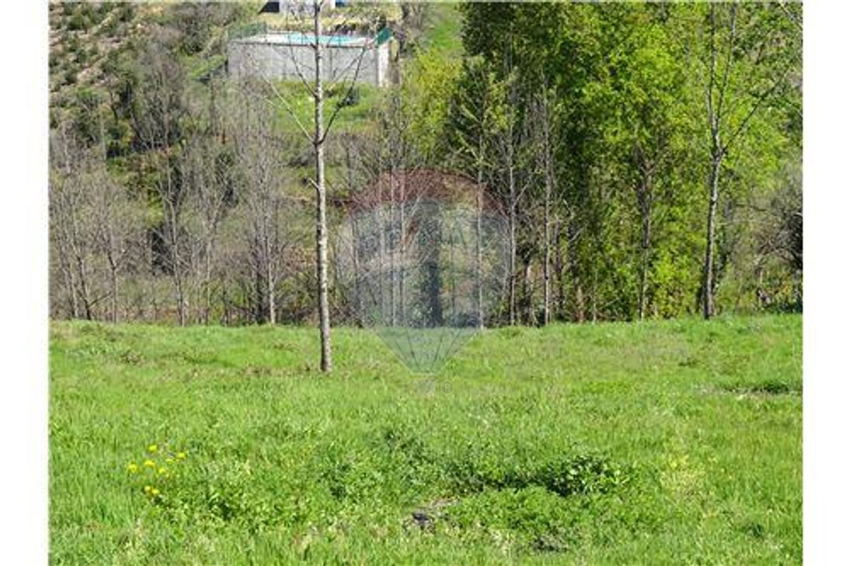 Terreno com viabilidade de construção