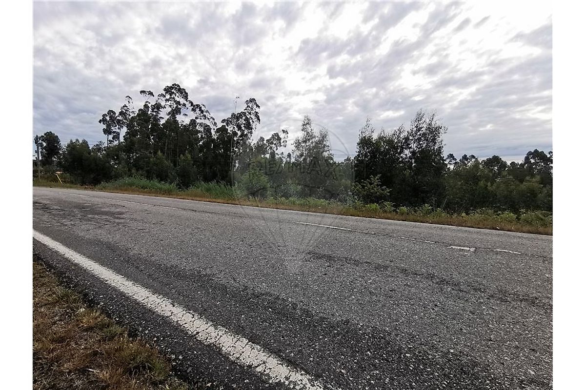 Terreno  à venda em Tondela