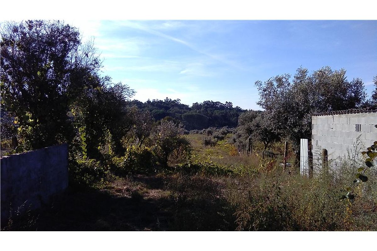 Terreno à venda em Viseu