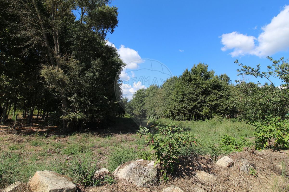 Terreno para venda