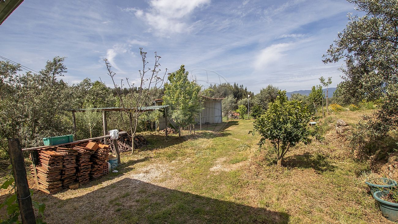Terreno  à venda em Tondela