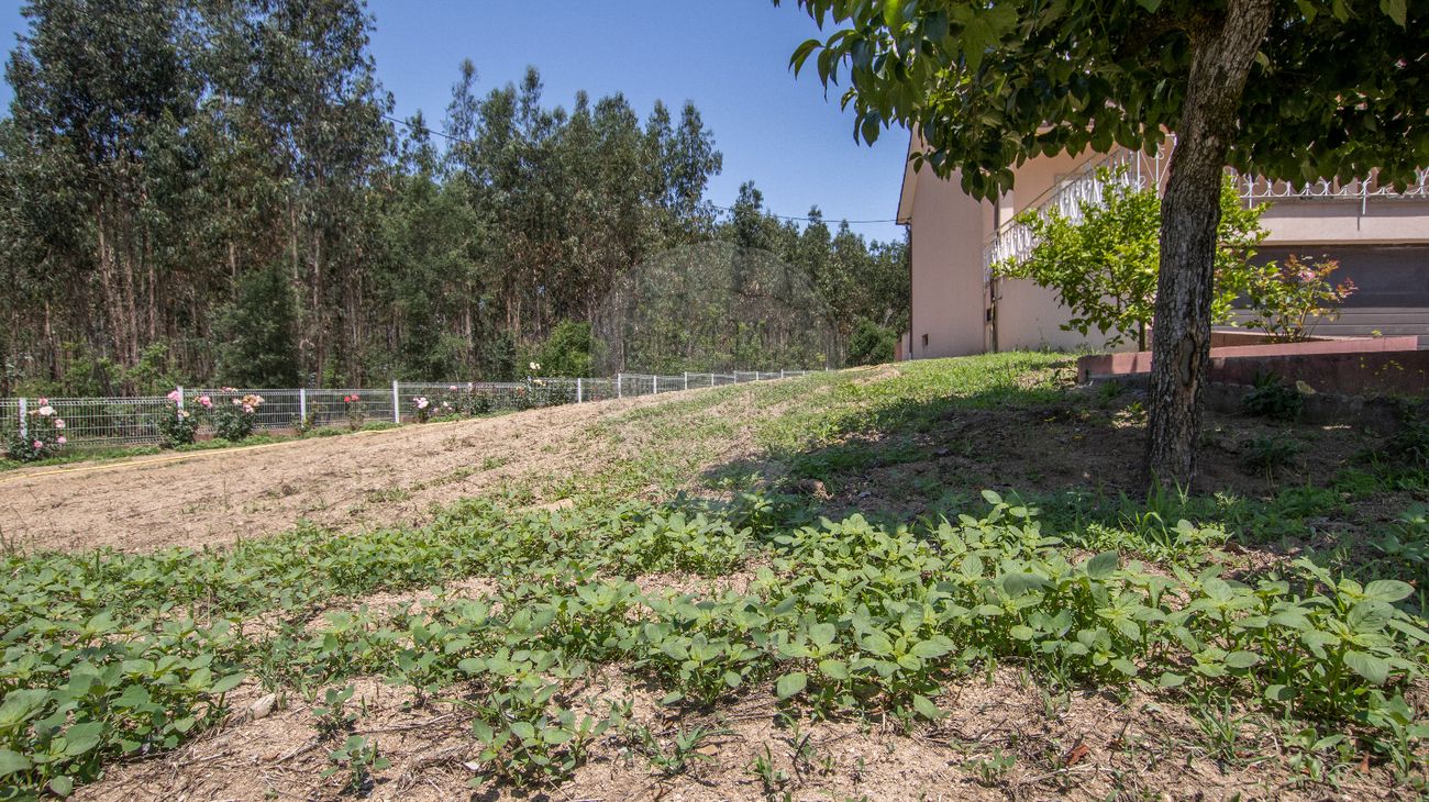 listing 126061084-44 picture-0