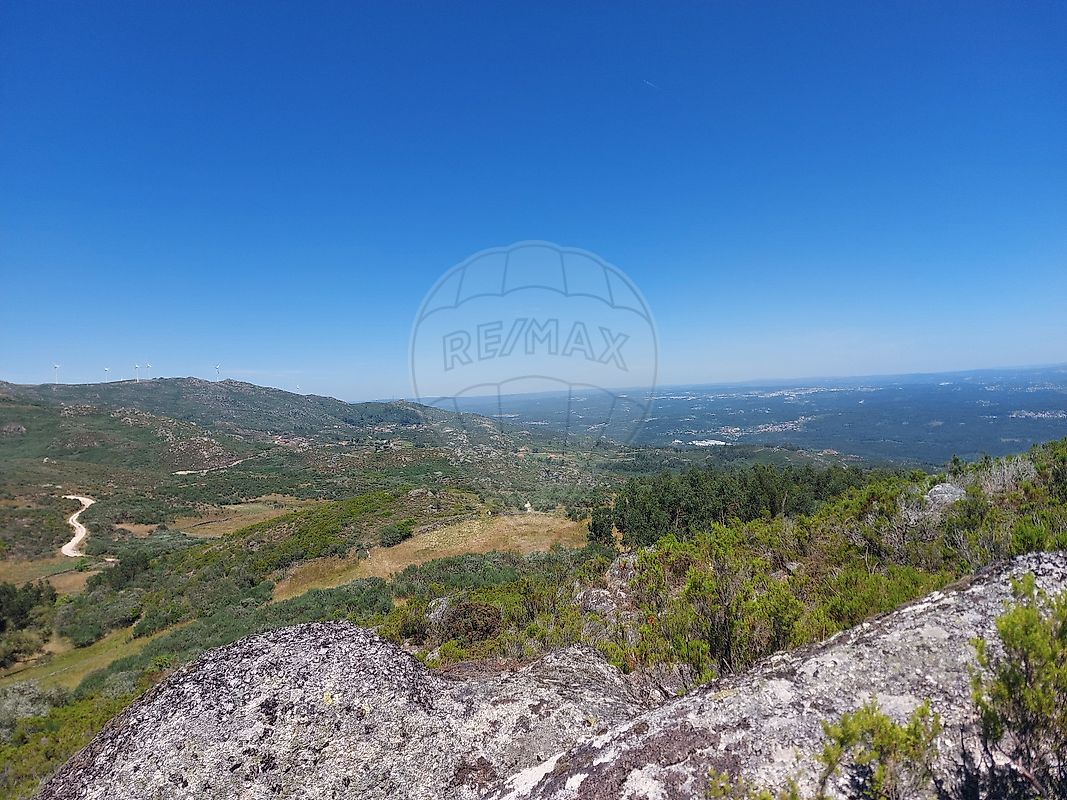 Terreno  à venda em Tondela