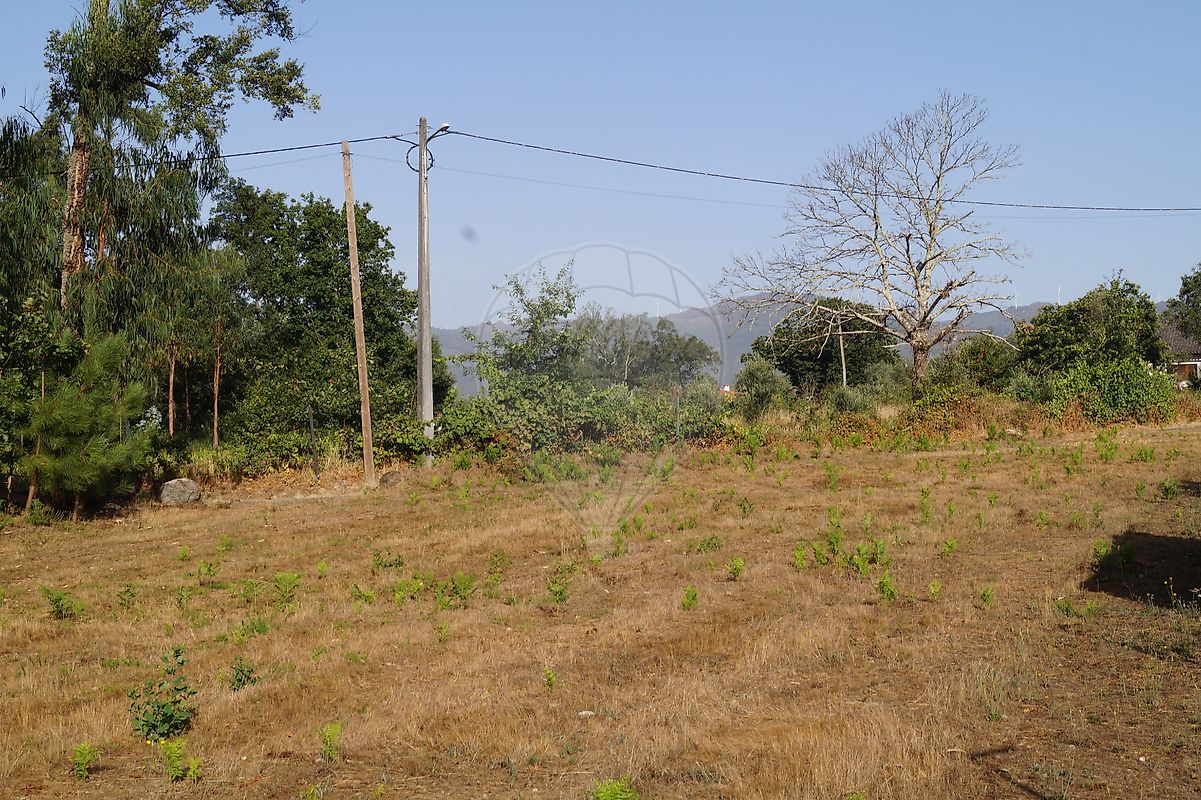 listing 122461086-238 picture-0