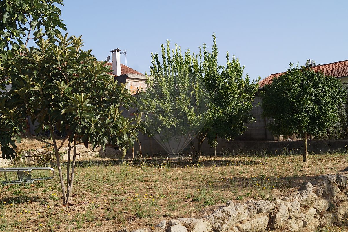 listing 122461086-238 picture-0