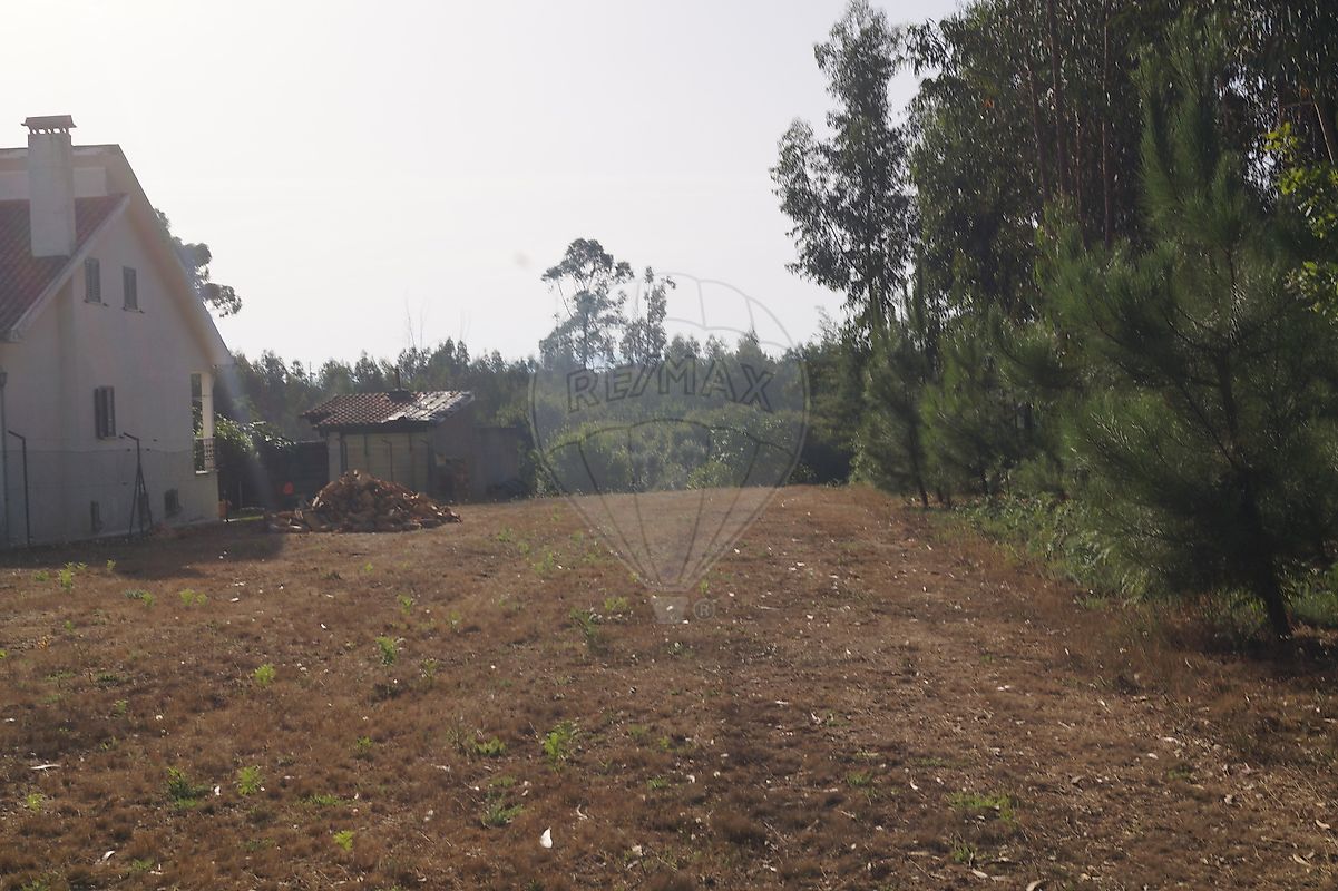 listing 122461086-238 picture-0