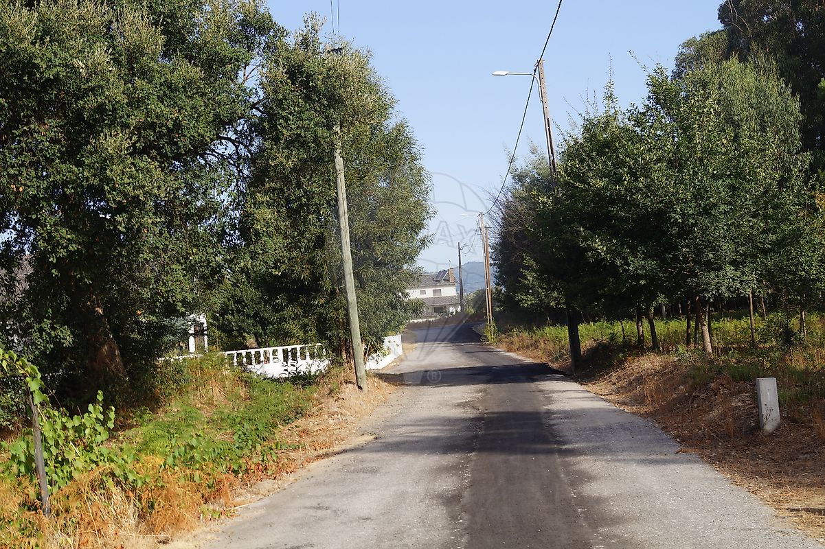 listing 122461086-238 picture-0