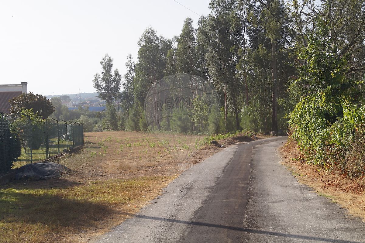 listing 122461086-238 picture-0