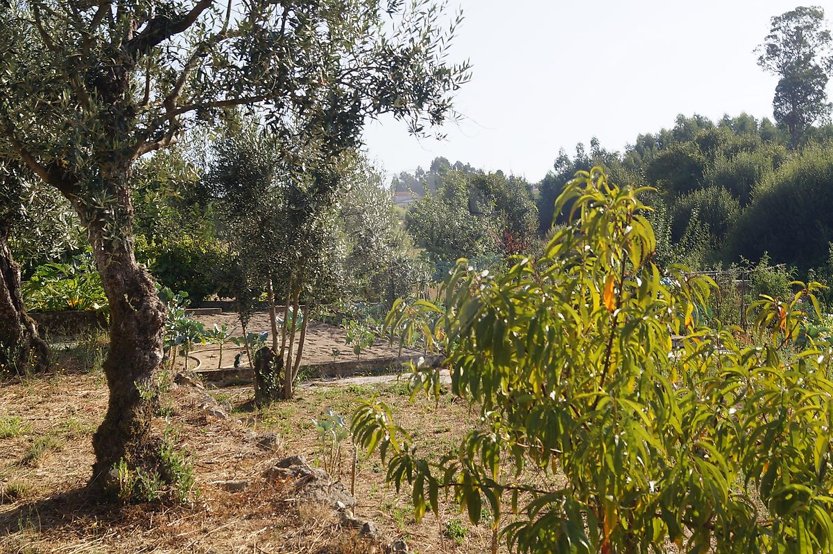 listing 122461086-238 picture-0