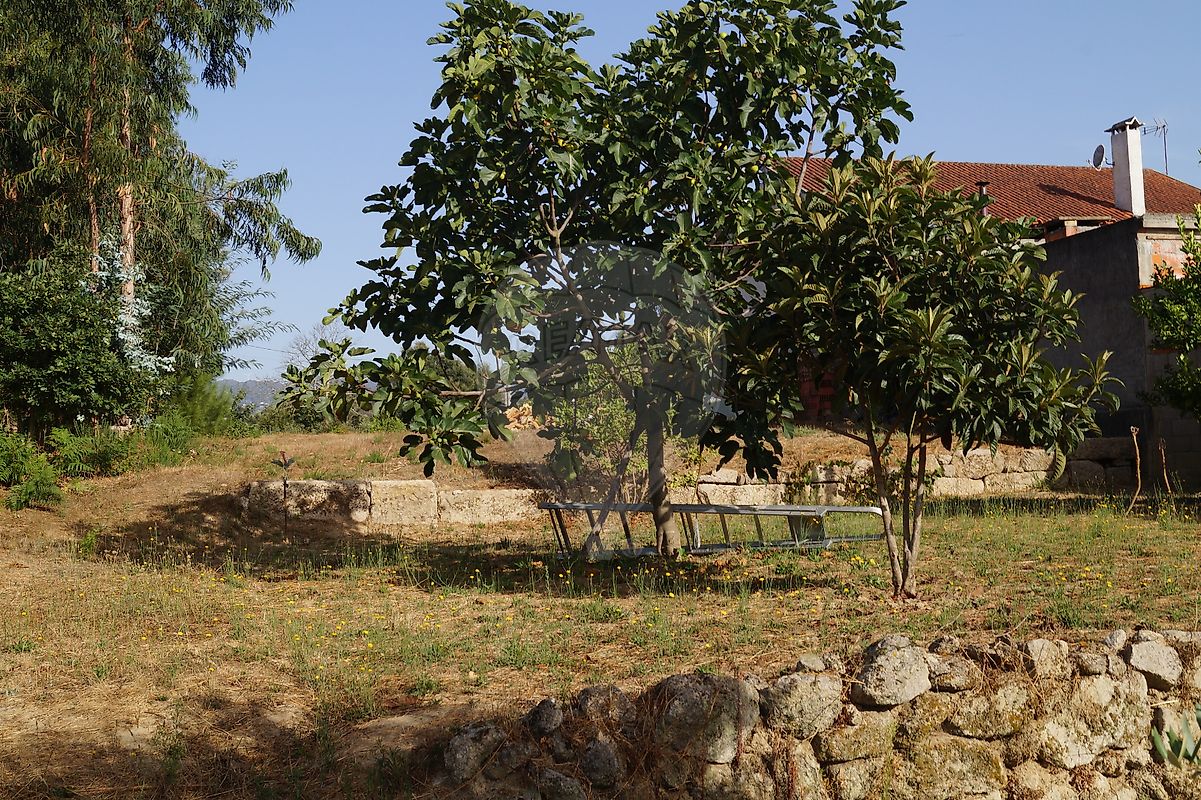 listing 122461086-238 picture-0