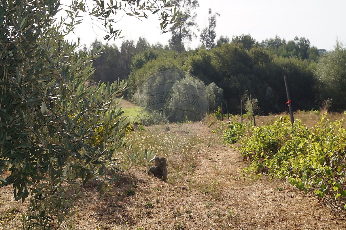 listing 122461086-238 picture-0