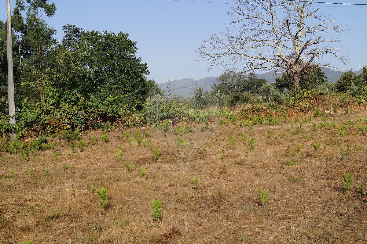 listing 122461086-238 picture-0