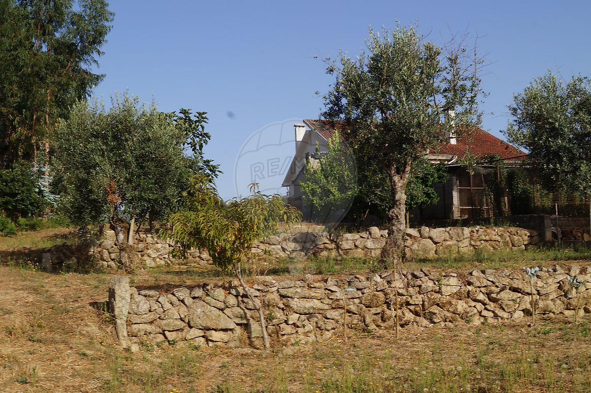 listing 122461086-238 picture-0