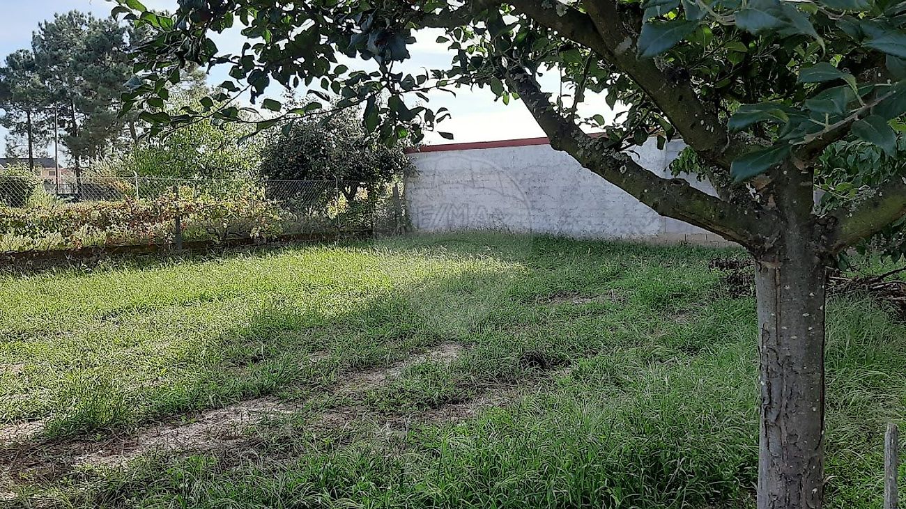 TODO