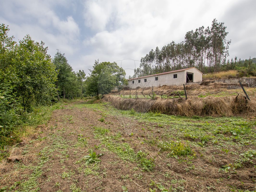 listing-picture-0