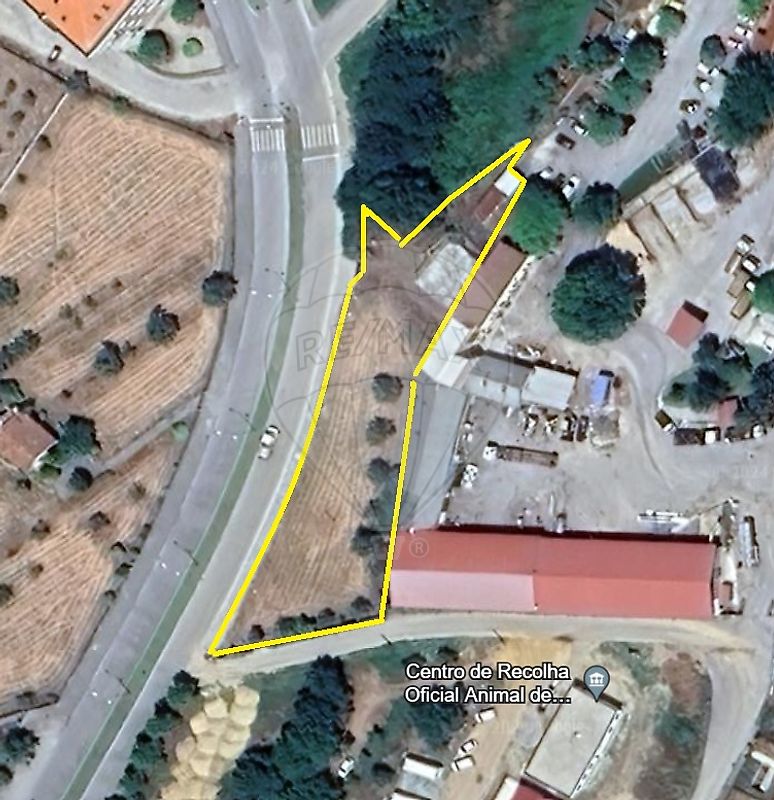 Terreno  à venda em Tondela