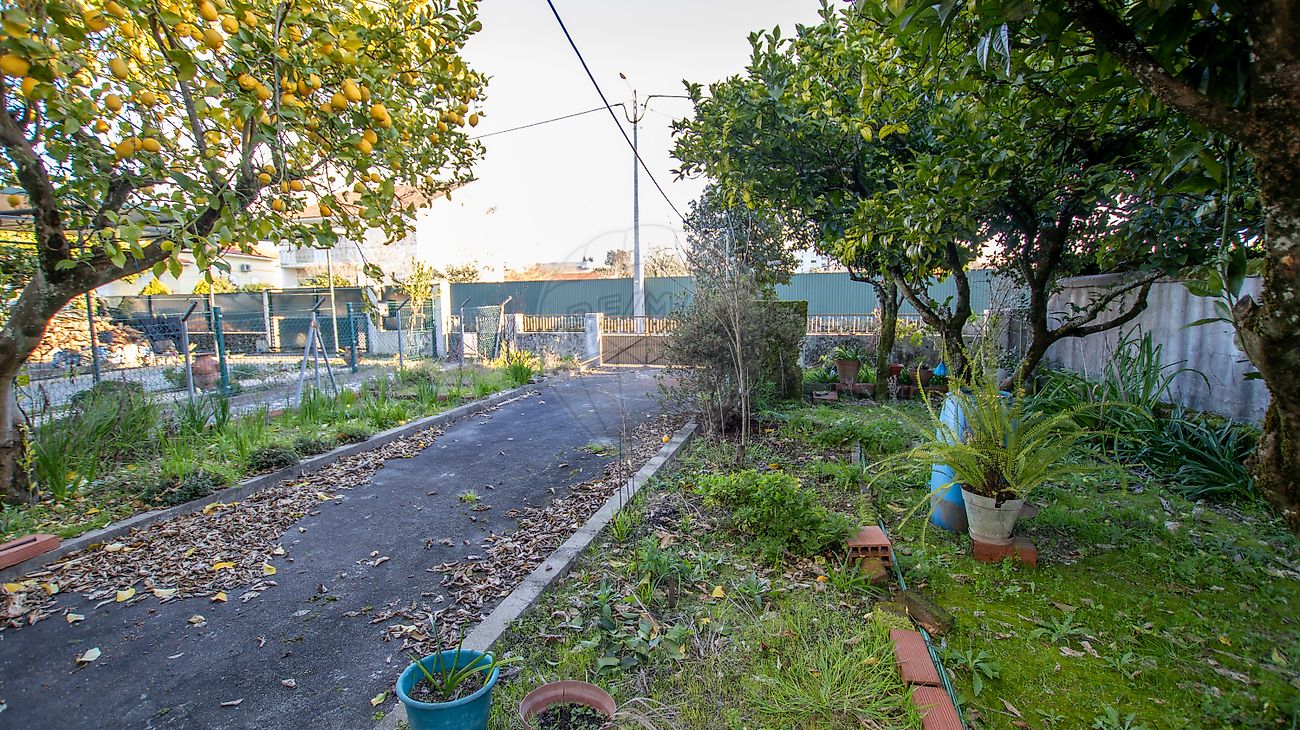 listing 122461148-9 picture-0