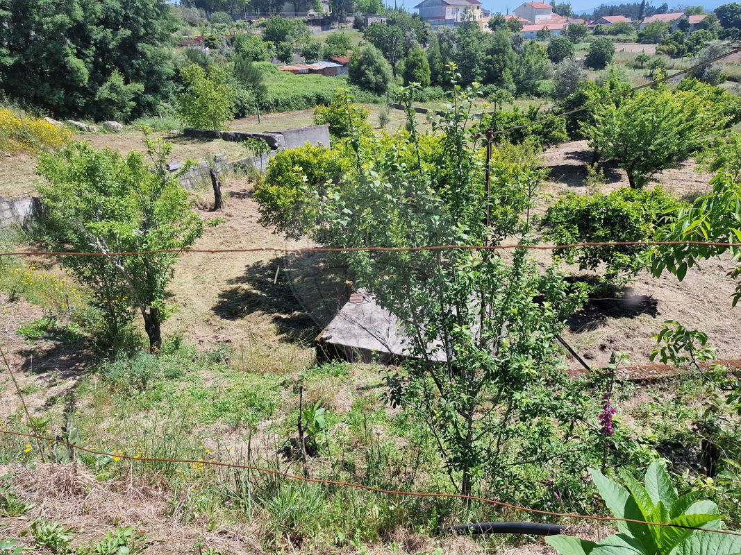 Terreno  para venda