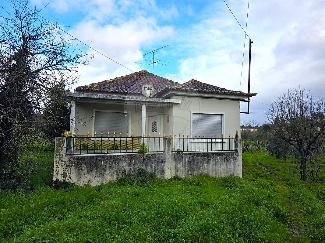 Moradia - Molelos, Tondela, Viseu