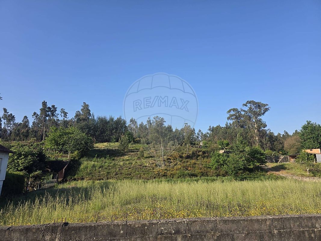Terreno - Castelões, Tondela, Viseu