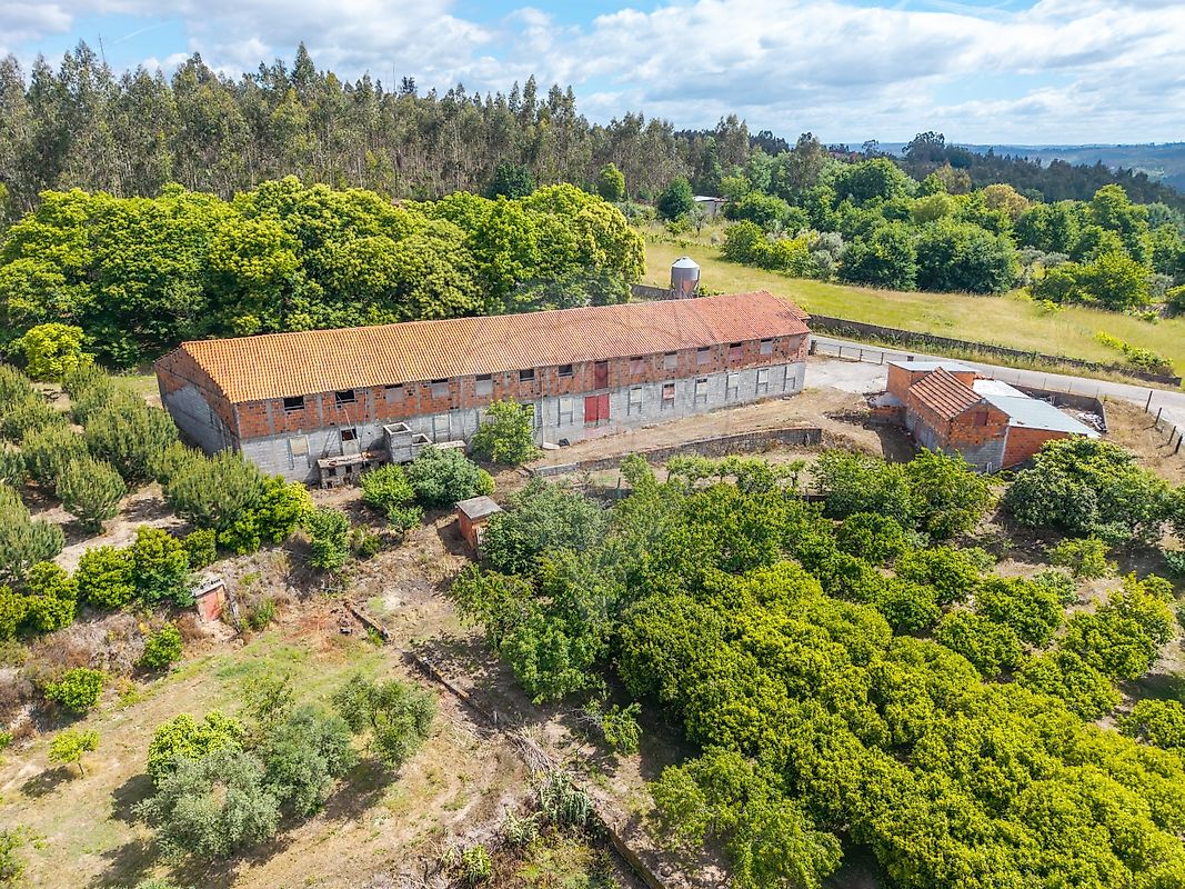 Quinta - Treixedo e Nagozela, Santa Comba Dão, Viseu
