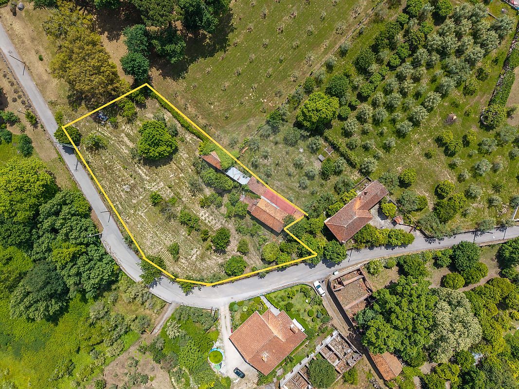 Terreno - Mouraz e Vila Nova da Rainha, Tondela, Viseu