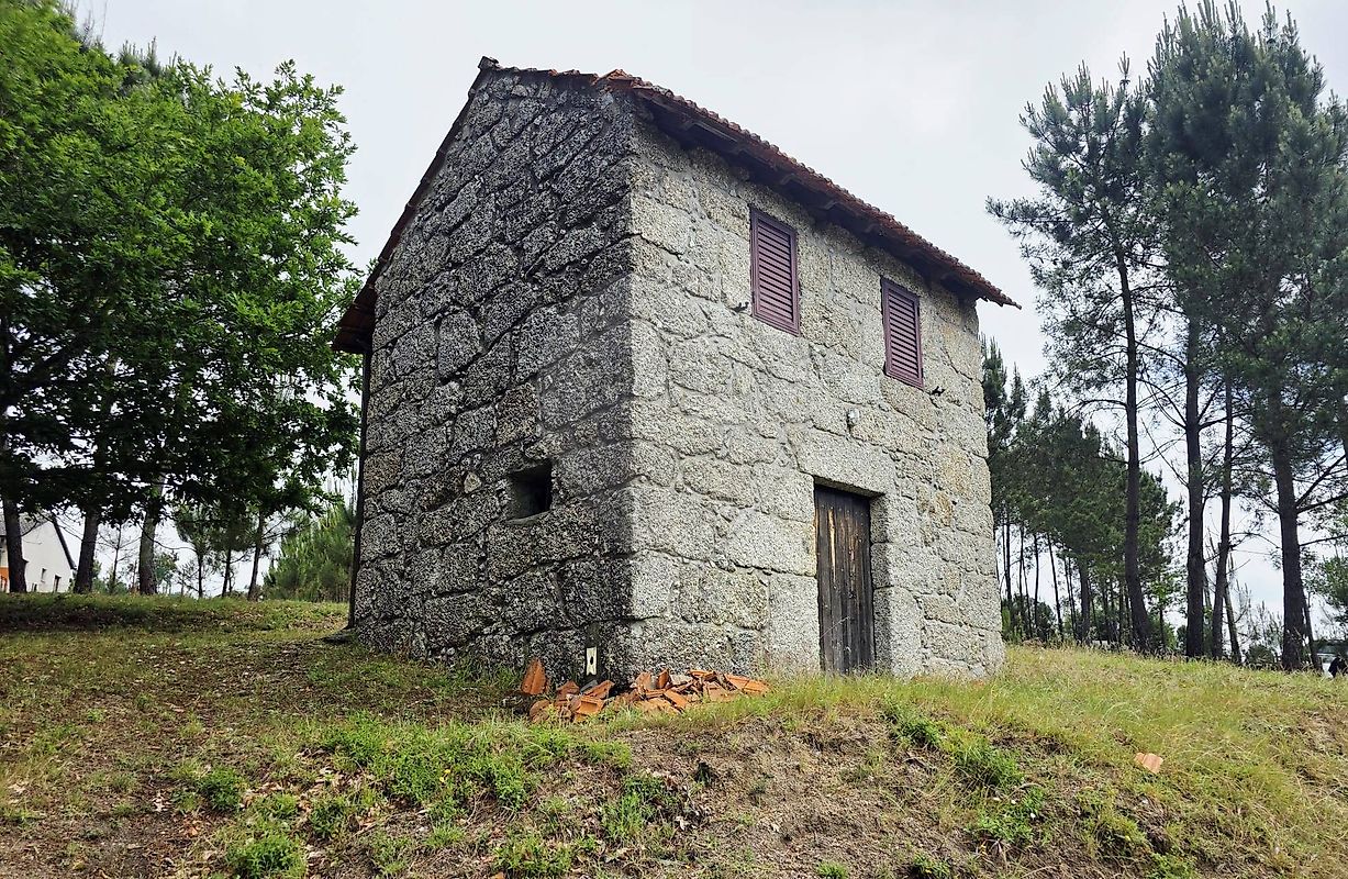 Terreno - Treixedo e Nagozela, Santa Comba Dão, Viseu