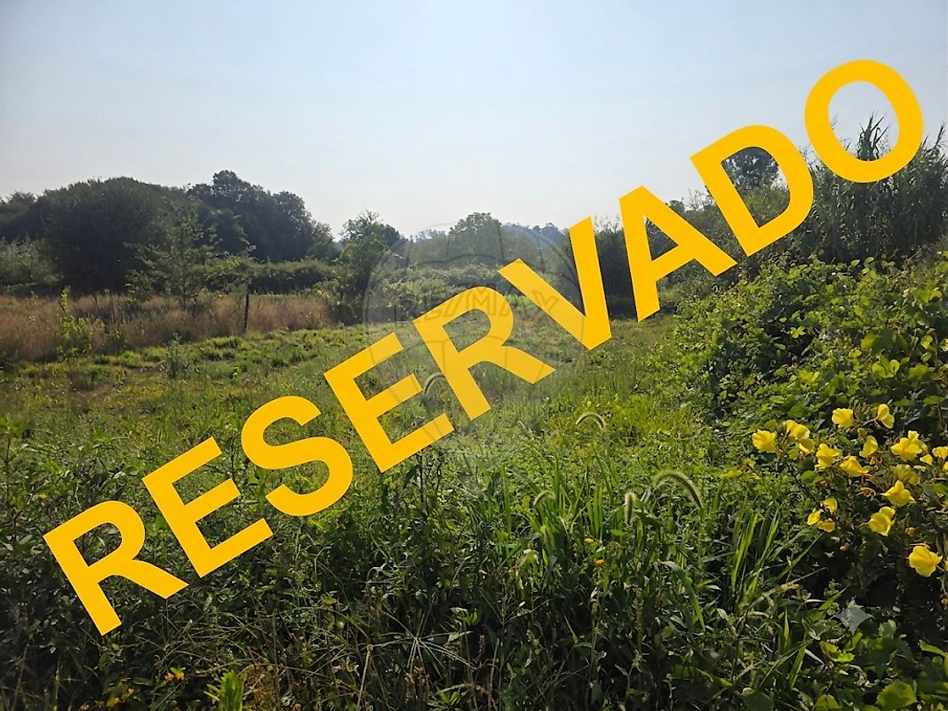 Outros - Comercial - Campo de Besteiros, Tondela, Viseu