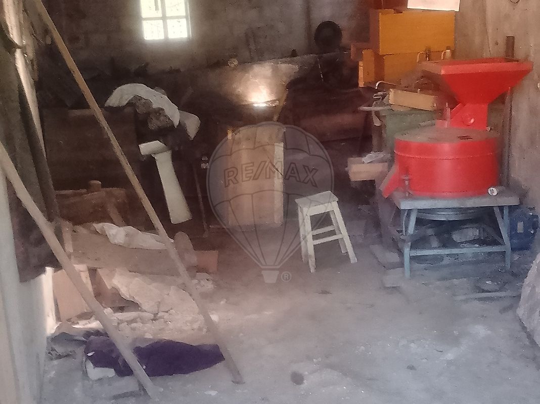 Moradia T1 à venda em São Joaninho, Santa Comba Dão — foto 6