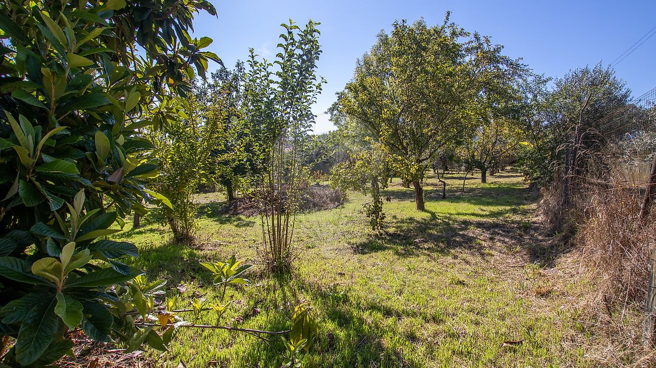 Moradia T4 à venda em Vilar de Besteiros e Mosteiro de Fráguas, Tondela — foto 31