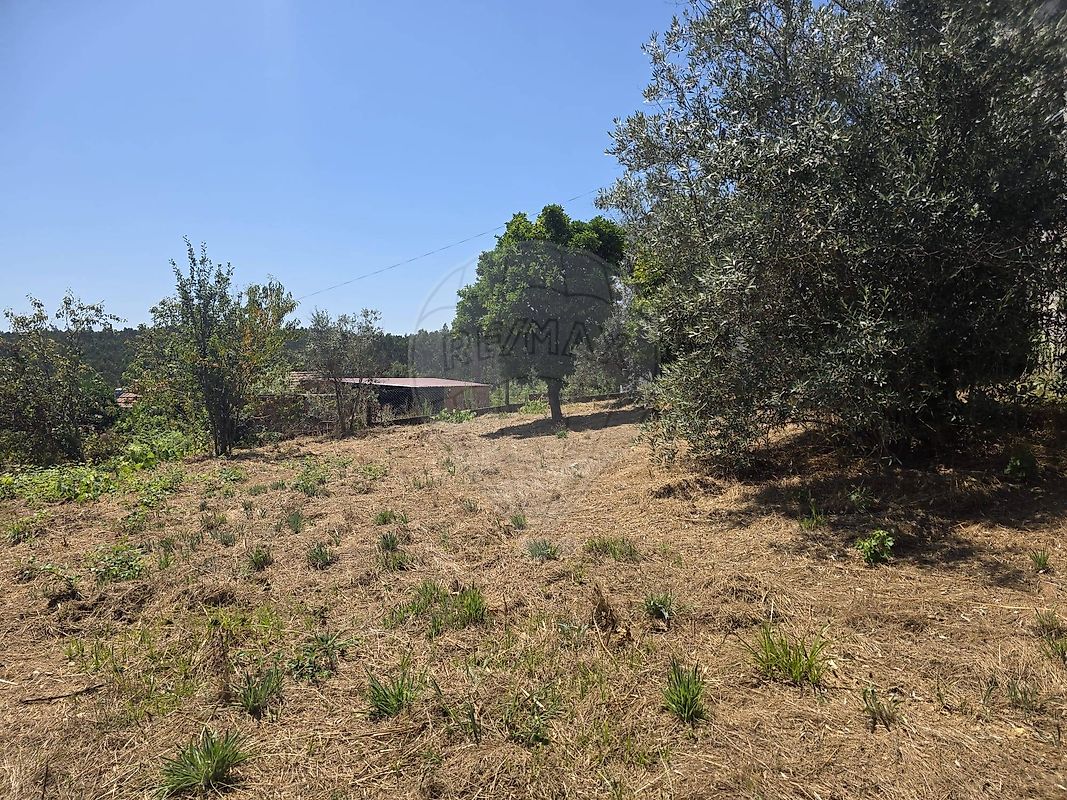 Moradia T2 à venda em Barreiro de Besteiros e Tourigo, Tondela — foto 13