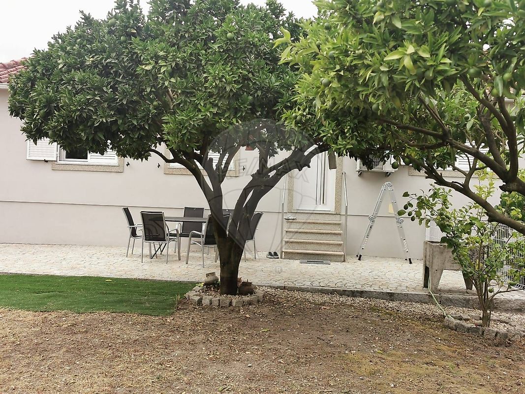 Moradia T3 à venda em Barreiro de Besteiros e Tourigo, Tondela — foto 26