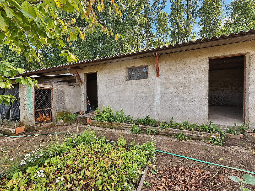 Quinta - Vilar de Besteiros e Mosteiro de Fráguas, Tondela, Viseu