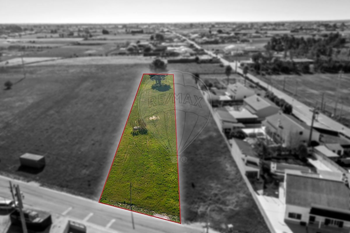 Land for sale in Salvaterra de Magos, Portugal — €56,150