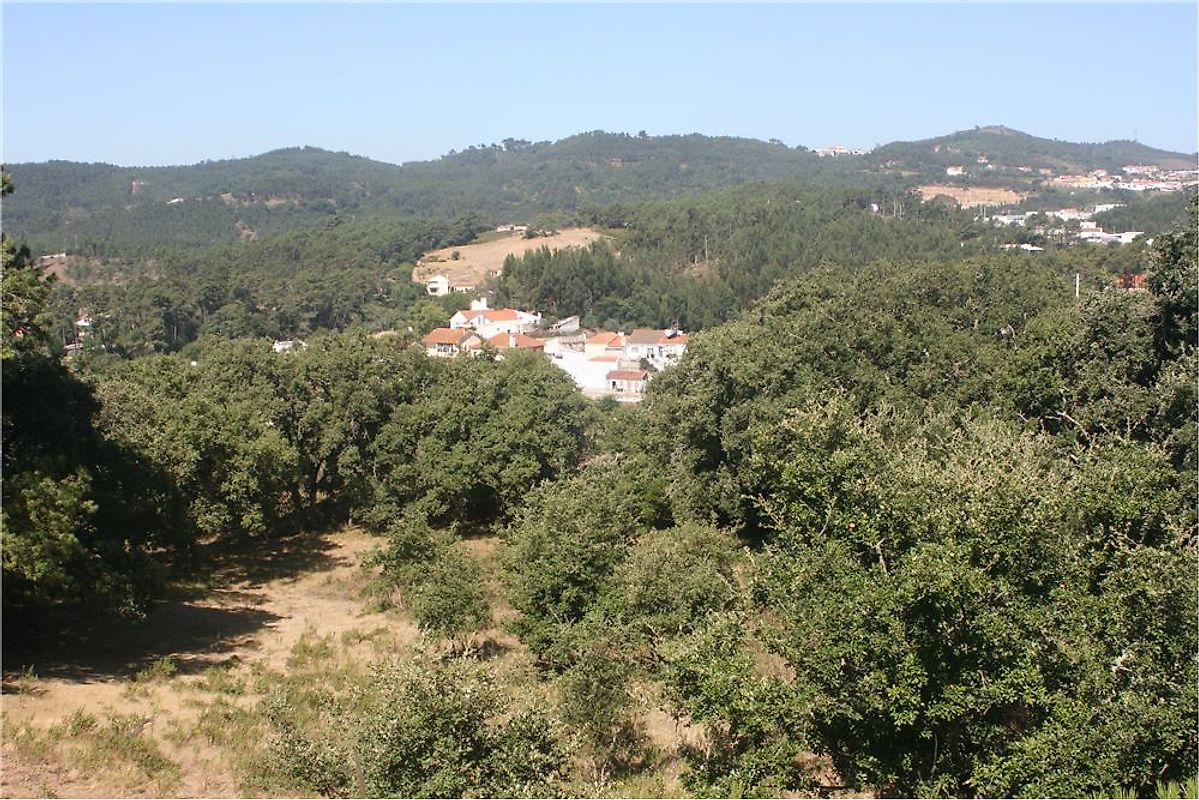 Terreno à venda em Lousa