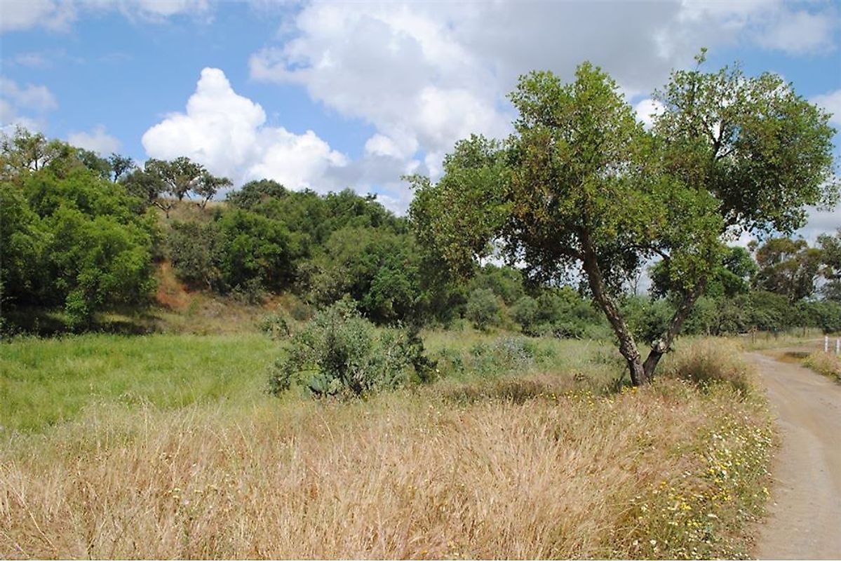 Land for sale in Odemira, Portugal — €90,000