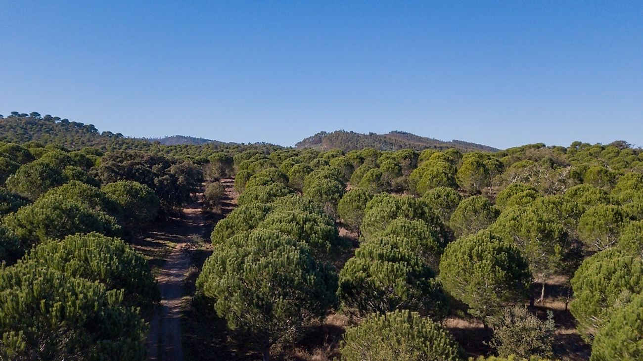Quinta à venda em Odemira