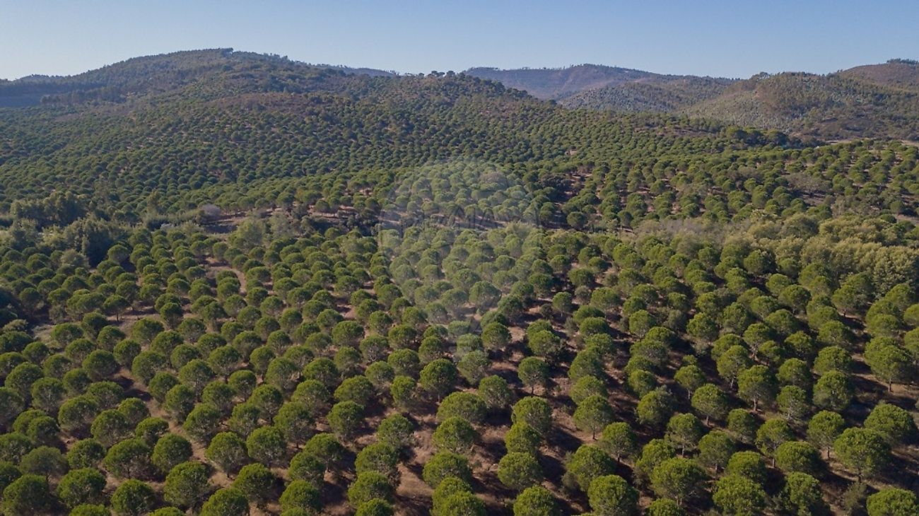 Land for sale in Odemira, Portugal — €620,000