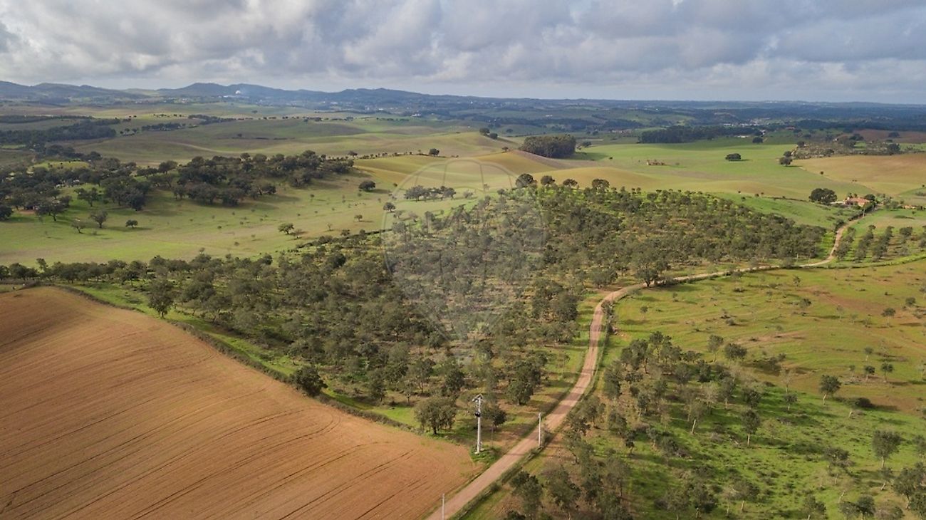 Terreno à venda em Santiago do Cacém