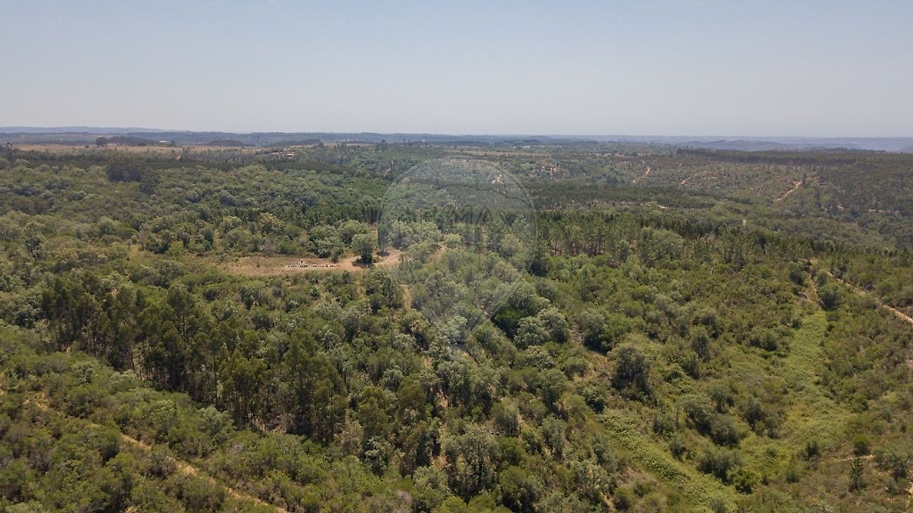 Terreno - São Teotónio, Odemira, Beja