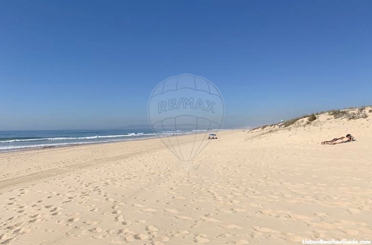 listing-picture-0