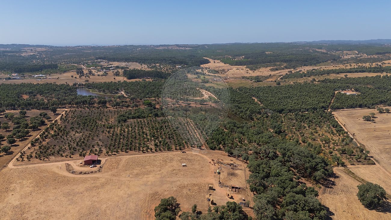 Terreno  para venda
