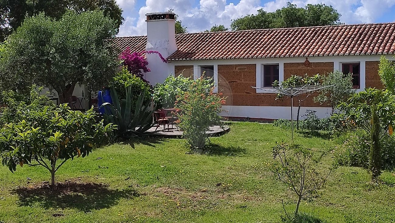 Quinta - Colos, Odemira, Beja