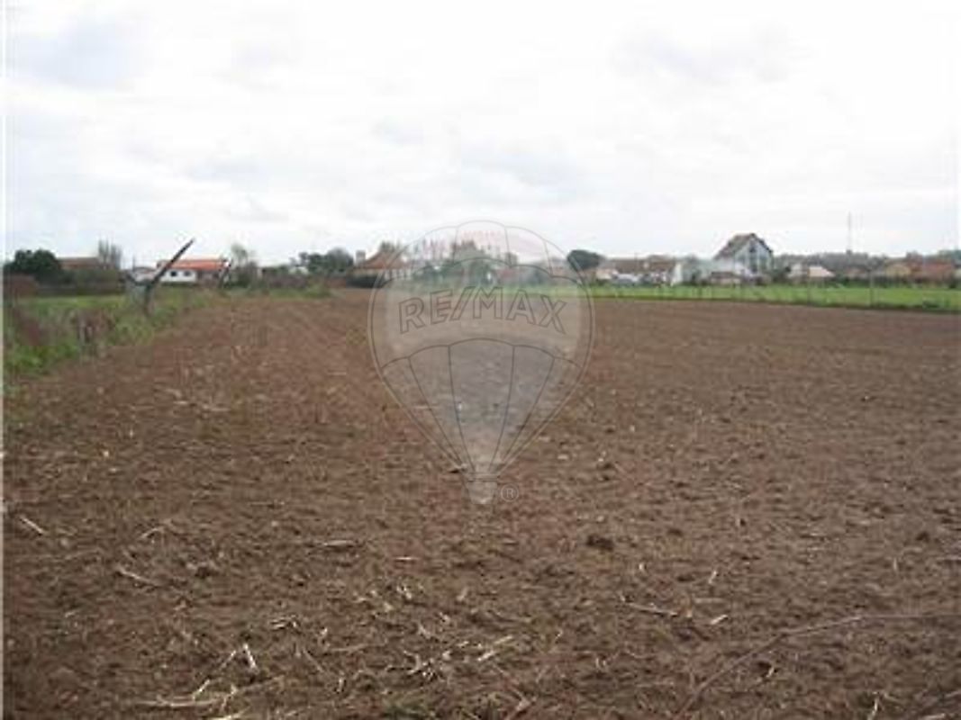 Land for sale in Ovar, Portugal — €64,000