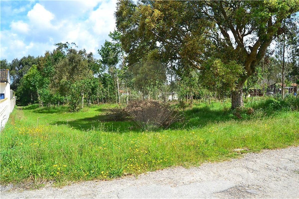 Land for sale in Ovar, Portugal — €65,000