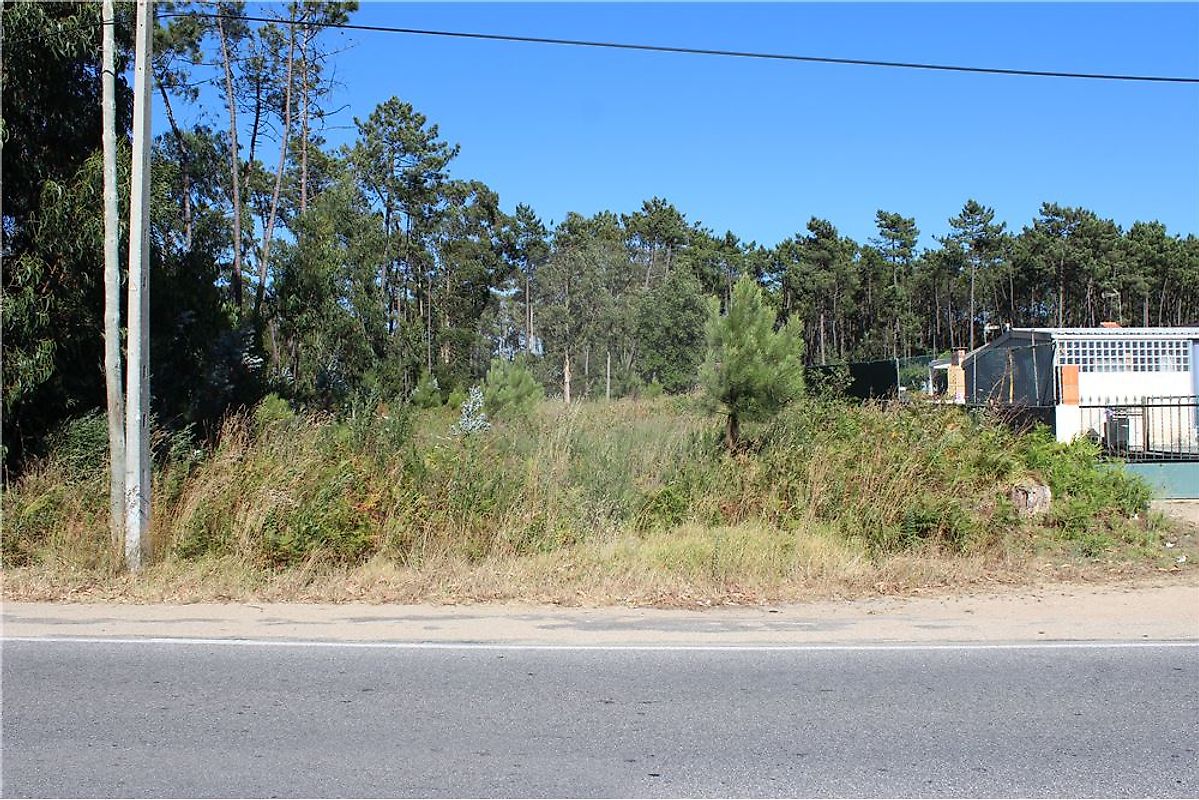 Land for sale in Ovar, Portugal — €55,000