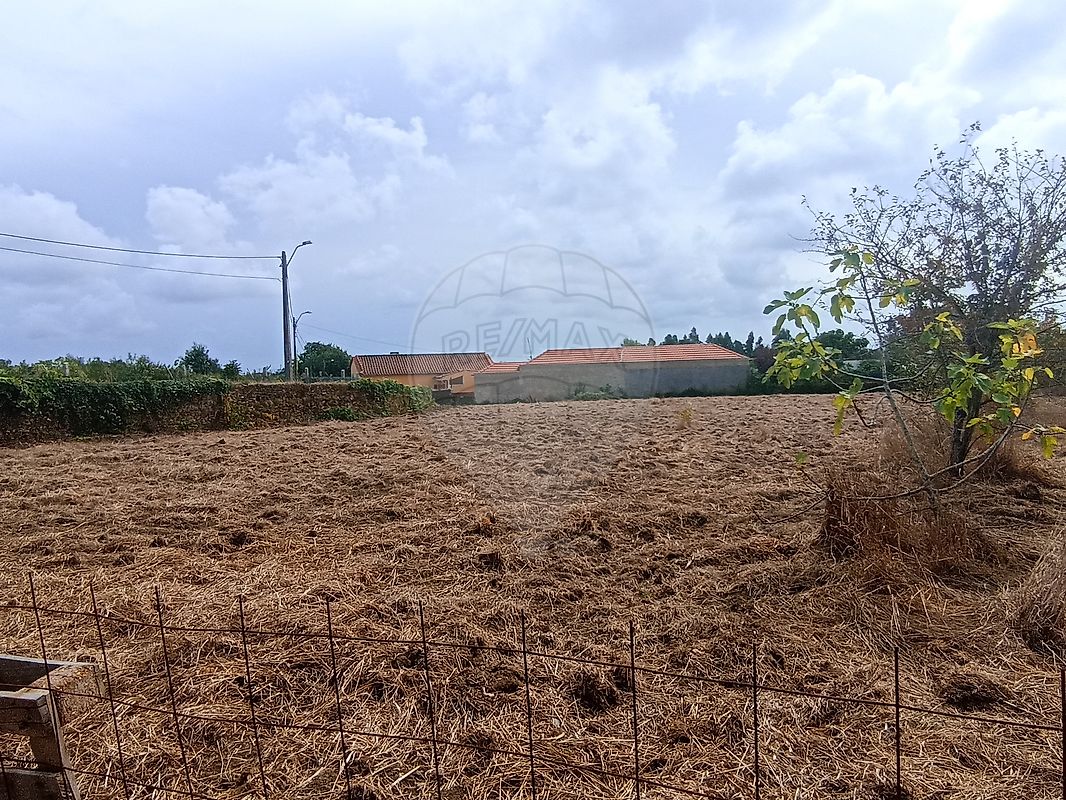 Terreno  à venda em Ovar