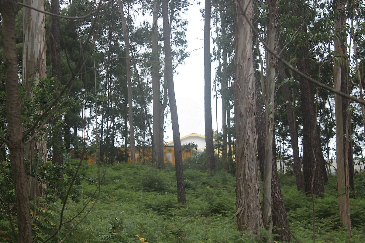 Terreno à venda em Espinho