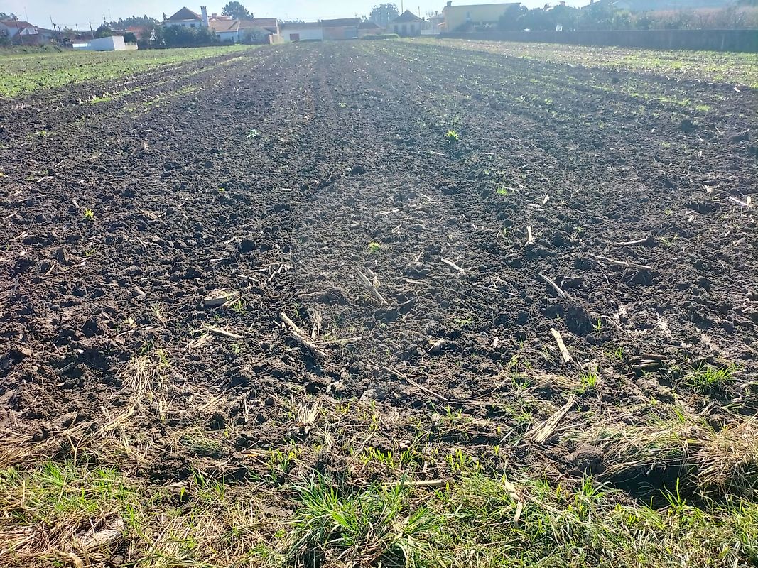 Terreno  à venda em Ovar