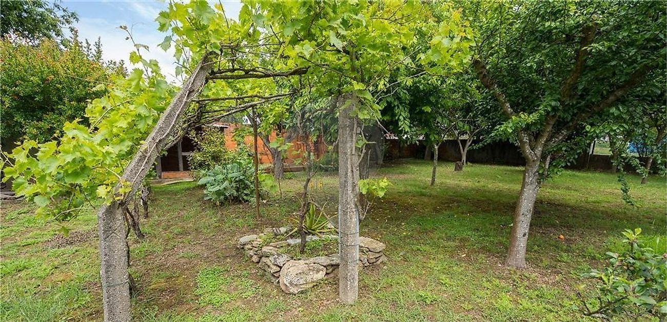 listing-picture-0